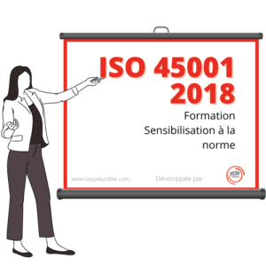 FS ISO 45001 SEPP DURABLE