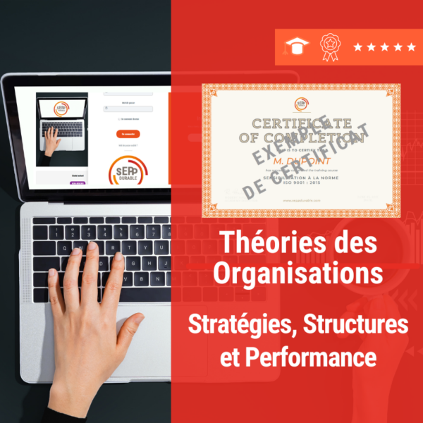 Theories des Organisations DURABLE E leraning